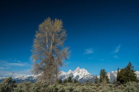 ͻƣйͱ׼ֱ7.7%11.3%