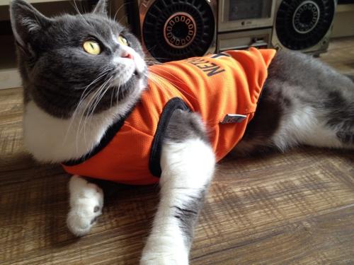 һܲƾ:ծȯͨƿɴ йڿһ